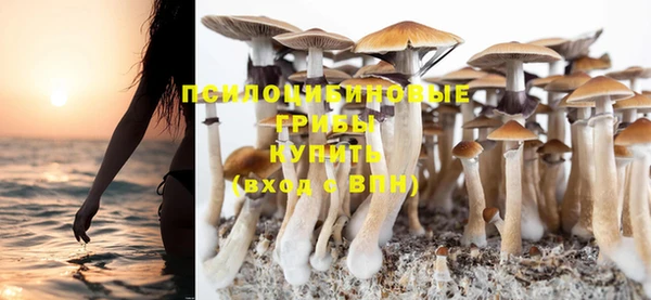 прущая мука Абдулино