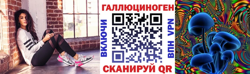Псилоцибиновые грибы мицелий  дарнет шоп  Алексин 
