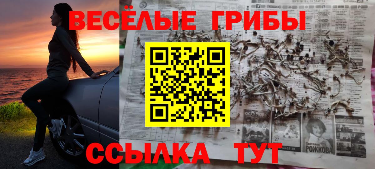 Псилоцибиновые грибы Psilocybe Алексин