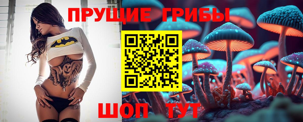 Алексин  Псилоцибиновые грибы прущие грибы  Вход с VPN 